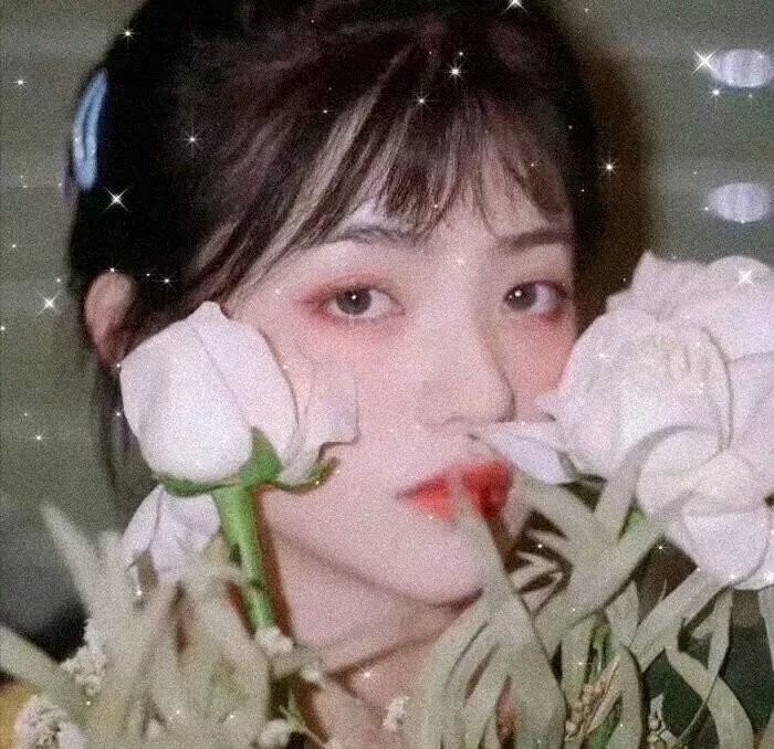 诺娃队长